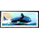 1987 C 1550 Baleia Franca M