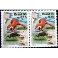 1995 C 1963 Rio Tietê M PR