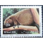 1988 C 1592 Ouriço Preto M