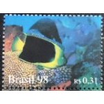 1998 C 2108 Anglefish e Coral M