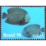 1998 C 2105 Peixes M