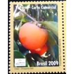 2009 C 2834 Caqui M