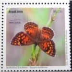 2016 C 3676  Aricoris middletoni M