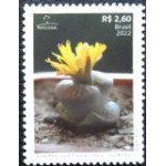 2022 C 4072 Lithops lesliei M