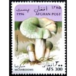 1996 AF 1669 Green-cracking Russula M
