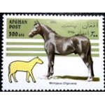 1996 AF 1696  Miohippus N