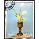 1972 AE SH 1215 Calla A NCC