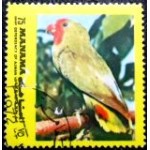 1972 AJ MN 0943 Parrot MCC