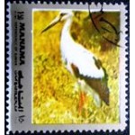 1972 AJ MN 0943 White Stork aA MCC