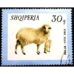 1966 AL 1030 Domestic Sheep NCC