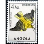 1951 AO 0350 African Golden Oriole U