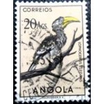 1951 AO 0358 Eastern Yellowbilled Hornbill U