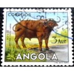 1953 AO 0379 African Buffalo U