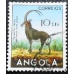 1953 AO 0369 Giant Sable Antelope (Hippotragus niger variani) U