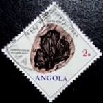 1970 AO 0566 Gondwanidium U