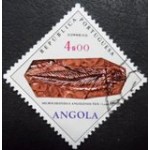 1970 AO 0570 Microceratodus Angolensis Teix U