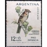 1962 AR 0807 Rufouscollared Sparrow U