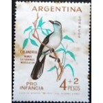 1962 AR 0806 Chalkbrowed Mockingbird U