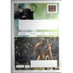 1999 BR AE Lobo Guará e Búfalo Africano
