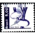 1982 R 0605 Cebola Branca U