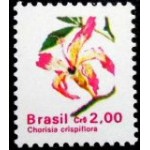 1990 R 0677 Paineirachorisia M