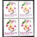 1990 R 0677 Paineira chorisia M QD