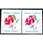 1990 R 0682 Erythrina U PR
