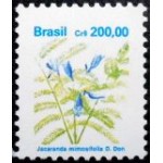 1991 R 0684  Jacaranda mimosifolia N