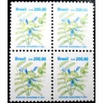 1991 R 0684 Jacaranda mimosifolia M QD