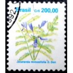 1991 R 0684  Jacaranda mimosifolia MCC
