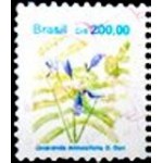 1991 R 0684 Jacaranda mimosifolia U