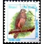 1994 R 0701 Gavião-carijó U