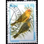1995 R 0718 Canário da terra U