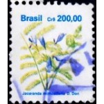 1991 R 0684  Jacaranda mimosifolia B U