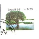 1996 R 0721 Pantanal MCC