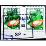 1998 R 0756 Coco U PR