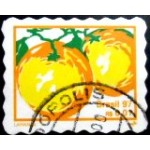 2000 R 0778 Laranjas U