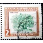1954 UY 0778 Ombu Tree U