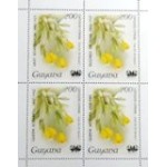 1985 GY 1483 Cattleya citrina M QD