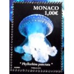 2015 MC 3222 Spotted Jellyfish M 