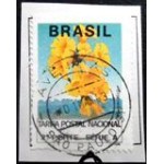 1993 R 0691 Ipê Amarelo Avenidas AV U