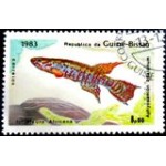 1983 GW 0735 African Swamp Killifish NCC