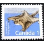 1988 CA 1102 Northern Flying Squirrel N sev