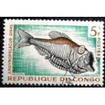 1961 CG 0017 Greater Silver Hatchetfish MCC