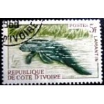 1964 CI 0272 African Manatee MCC