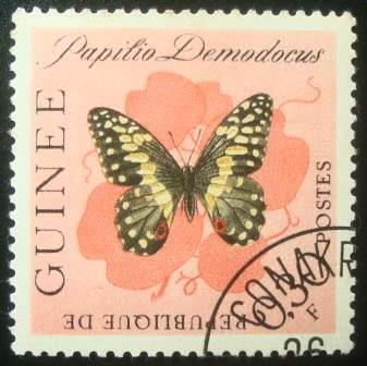 Selo postal da Guiné de 1963 Citrus Swallowtail