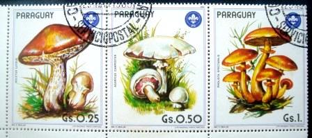 Série de selos postais do Paraguai de 1985 Boletus luteus