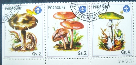 Série de selos postais do Paraguai de 1985 Boletus luteus