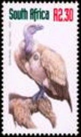 Selo postal da África do Sul de 2000 Cape Vulture
