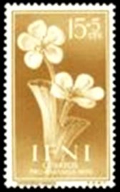 Selo postal de IFNI de 1956 Limoniastrum ifniense